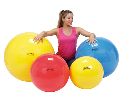 PhysioGymnic molded vinyl inflatable ball