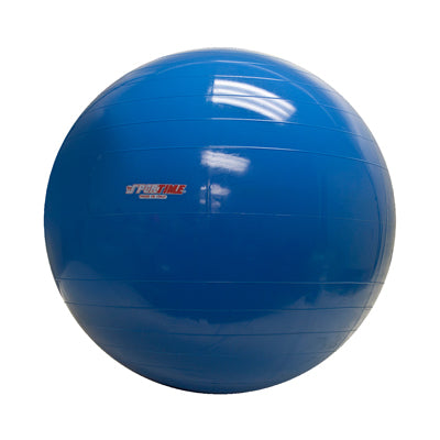 PhysioGymnic molded vinyl inflatable ball