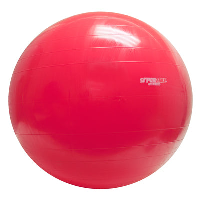 PhysioGymnic molded vinyl inflatable ball